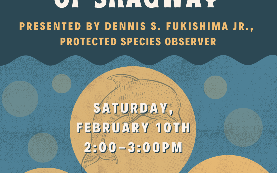 “Marine Mammals of Skagway” Talk with a Protected Species Observer