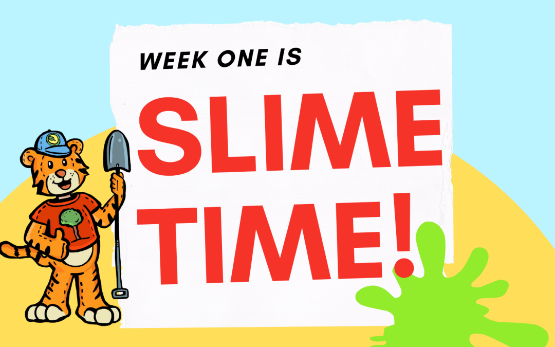 Summer Reading Program 2024: Slime Time!