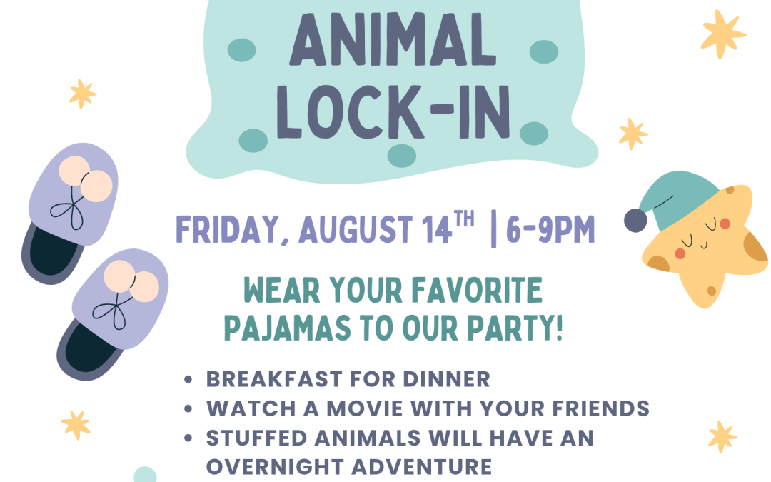 Late Night Library: Stuffed Animal Lock-In